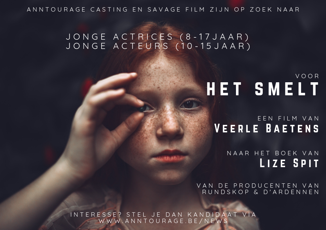 Het Smelt Ann Willems